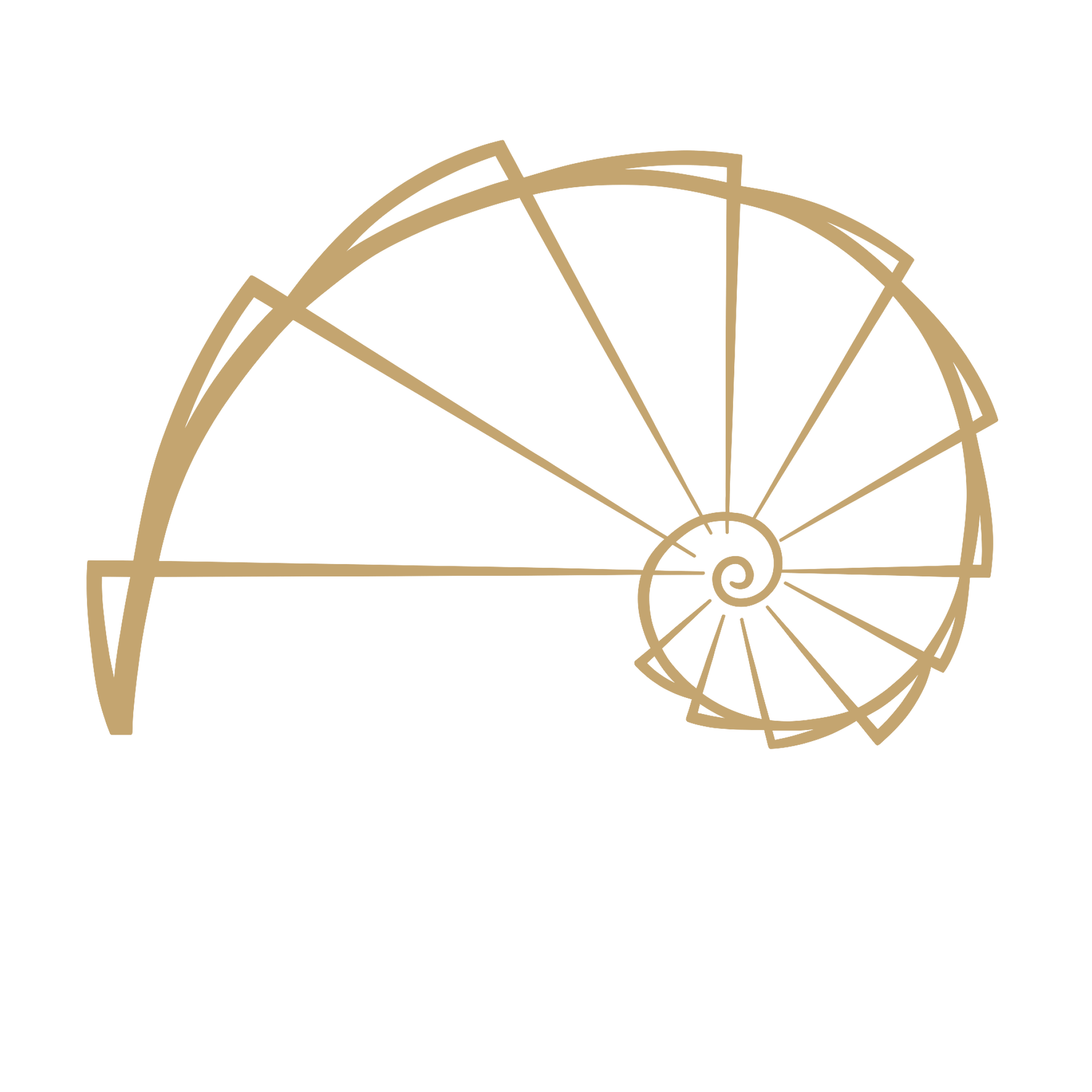 CMZ Altın Oran Kabuk Logosu